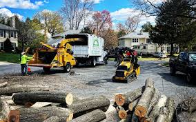 Seasonal Cleanup (Spring/Fall) in Cape Coral, FL